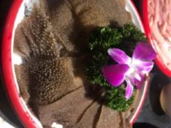 爽脆毛肚-大龙燚火锅(春熙店)