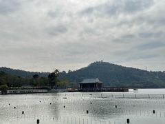 -顺峰山公园
