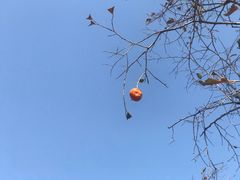 -北门涮肉·炭火铜锅涮肉(什刹海店)