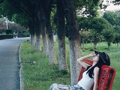 -艾溪湖湿地公园