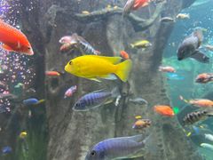 -合肥海洋世界