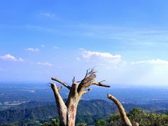 -长沙黑麋峰国家森林公园