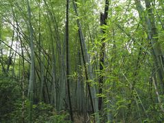 -会稽山峡洞漂流-上青古道