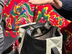 -东北特色铁锅炖·柴火灶(富阳一店)