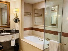 -澳门威尼斯人综合度假区