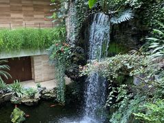 -白天鹅宾馆-宏图府餐厅
