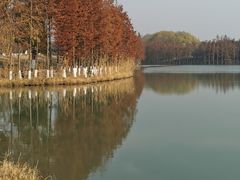 -苏州太湖国家湿地公园