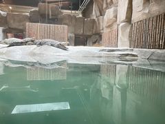 -武汉动物园
