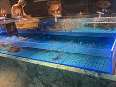 -海底捞火锅(长宁路龙之梦店)
