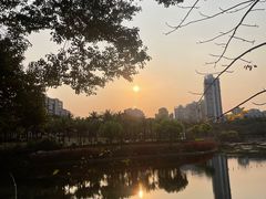 -深圳龙潭公园