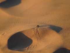 -亿利库布其七星湖沙漠生态旅游区