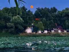 -丁香湖公园