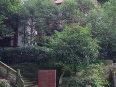 景点-万卷楼景区