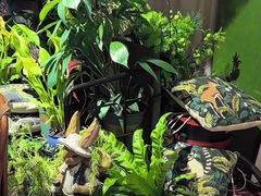 -Thai Basil罗勒叶泰式餐厅(时代天街店)