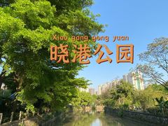 -晓港公园
