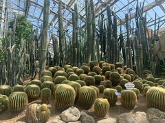 -南山植物园