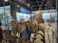 -浙江自然博物院(杭州馆)