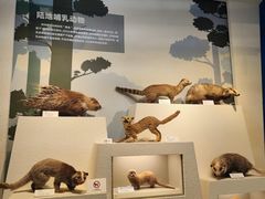 -舟山博物馆