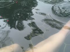 -海兰云天度假区温泉