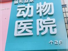 -谐和益家动物医院·免疫绝育·血液透析·宠保定点医院(高新伊藤分院)