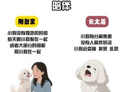 -谐和益家动物医院·免疫绝育·血液透析·宠保定点医院(高新伊藤分院)