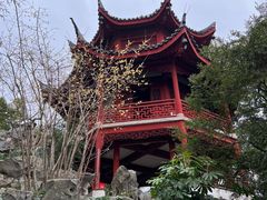 -汇龙潭