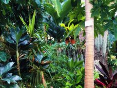 -北京植物园-展览温室