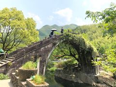 -鹿亭中村