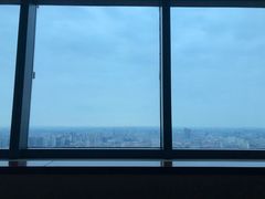 -上海龙之梦万丽酒店