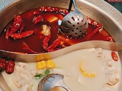 -麻田会 ·鲜活现烹·牛蛙火锅(珠江新城维家思广场店)