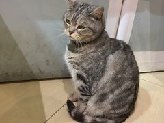 -小时光咖啡馆(开森度假森林店)