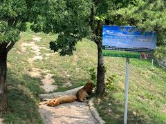 -西霞口神雕山野生动物世界