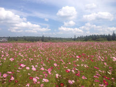 iphone_upload_pic-长白山天域度假酒店