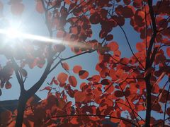 -黑龙潭风景区