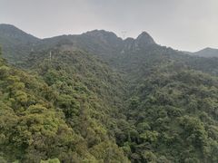 -南丹山森林王国