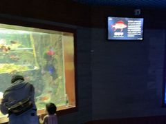 -太平洋海底世界