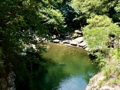 -少华山国家森林公园
