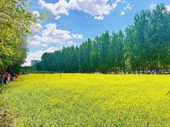 -长白岛森林公园