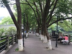 -白马涧龙池景区