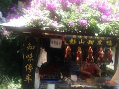 -黄龙溪古镇