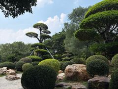 -南宁南湖公园