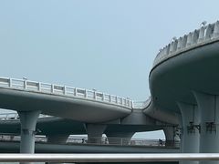 -演武大桥观景平台