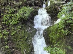 -本溪汤沟绿石谷森林公园