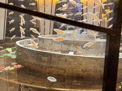 -世纪缘国际会议中心·中餐厅(百家湖店)