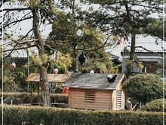 -有喜胶东小馆(超极合生汇太申祥和店)