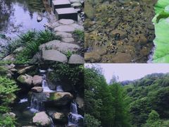 -龙窝子