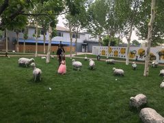 -九十九顶毡房(阜石路店)