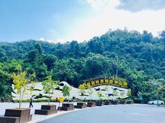 -西双版纳原始森林公园