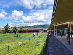 -轻井泽王子购物广场