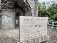 -上海佘山国家森林公园天马山园